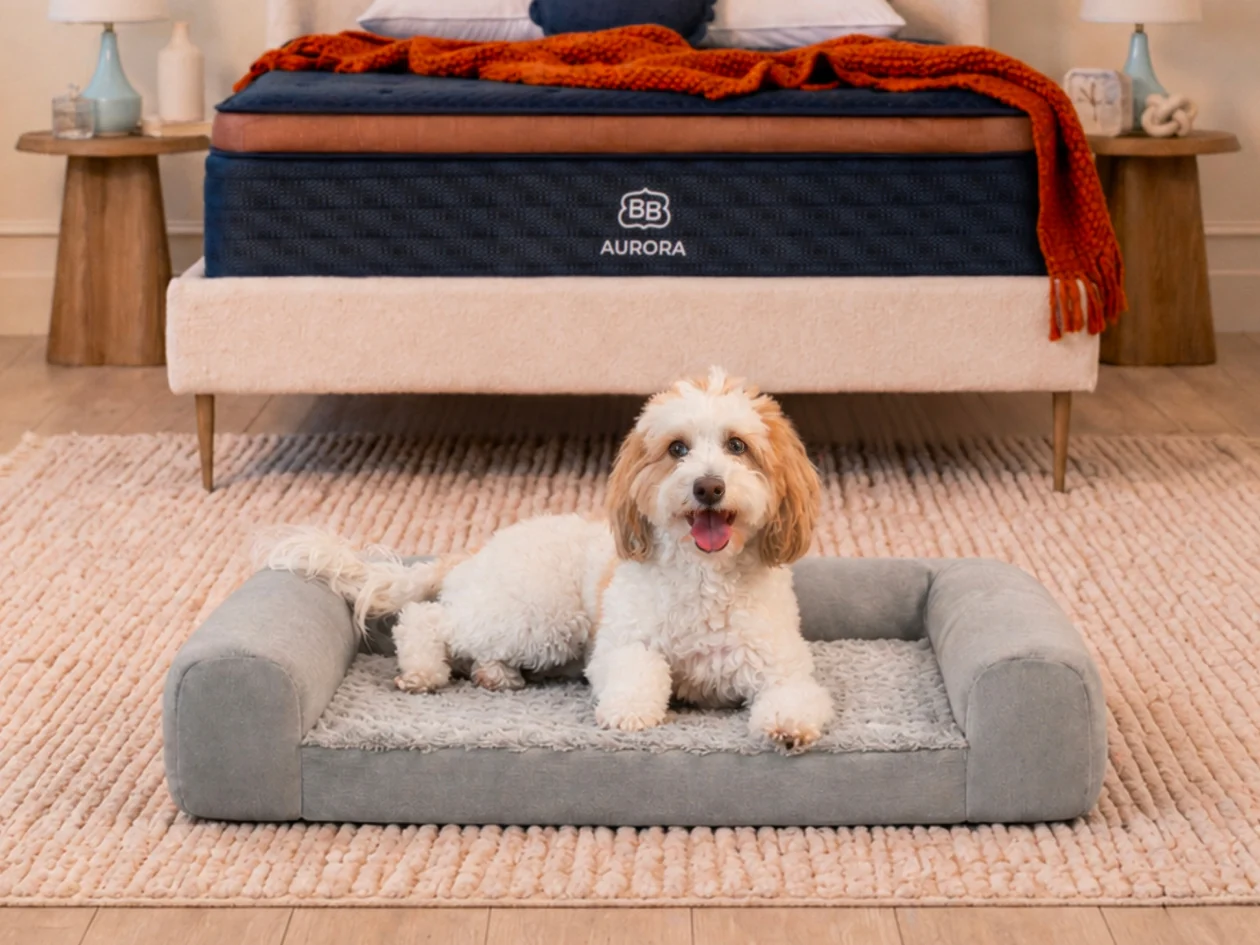 Pet Bed